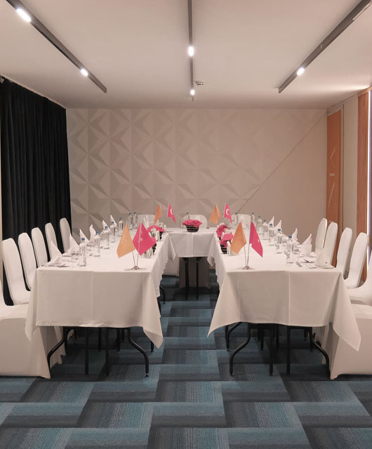 Toplantı Ornaizasyonları